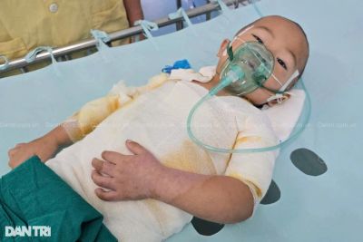 A Little Fighter&#039;s Brave Journey: The Story of Ly A Vu